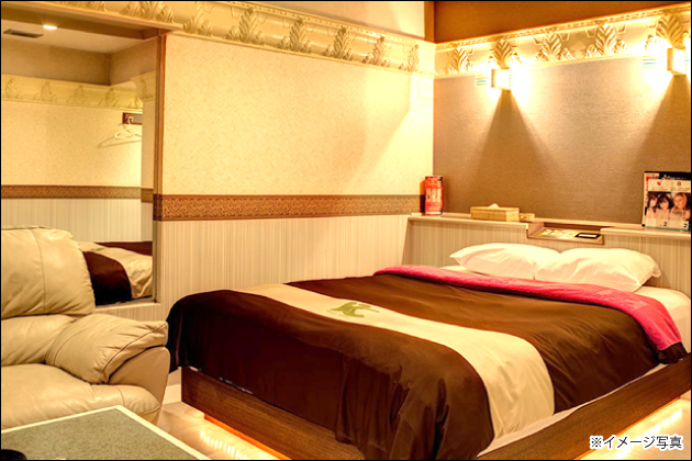 �y�o��n�̌��k�z29�΃A���T�[�̃V���}�}�ƃ����i�C�g�����b